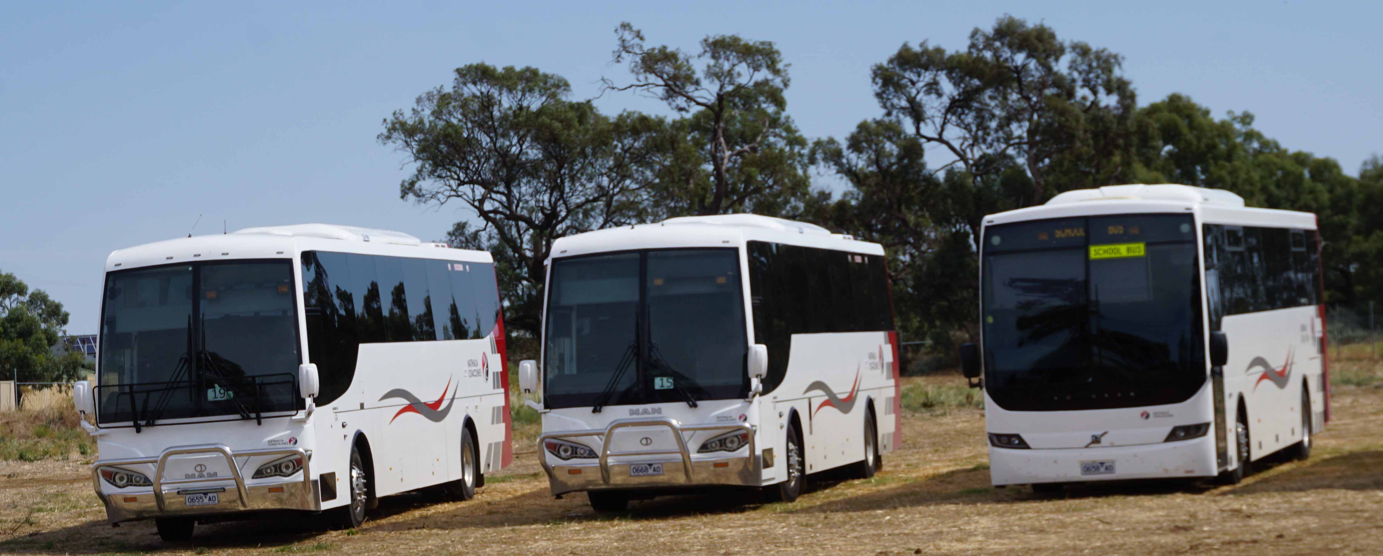 Nathalia MAN 19.320 Coach Design 55 & 68 and Volvo B7R Volgren Endura 56